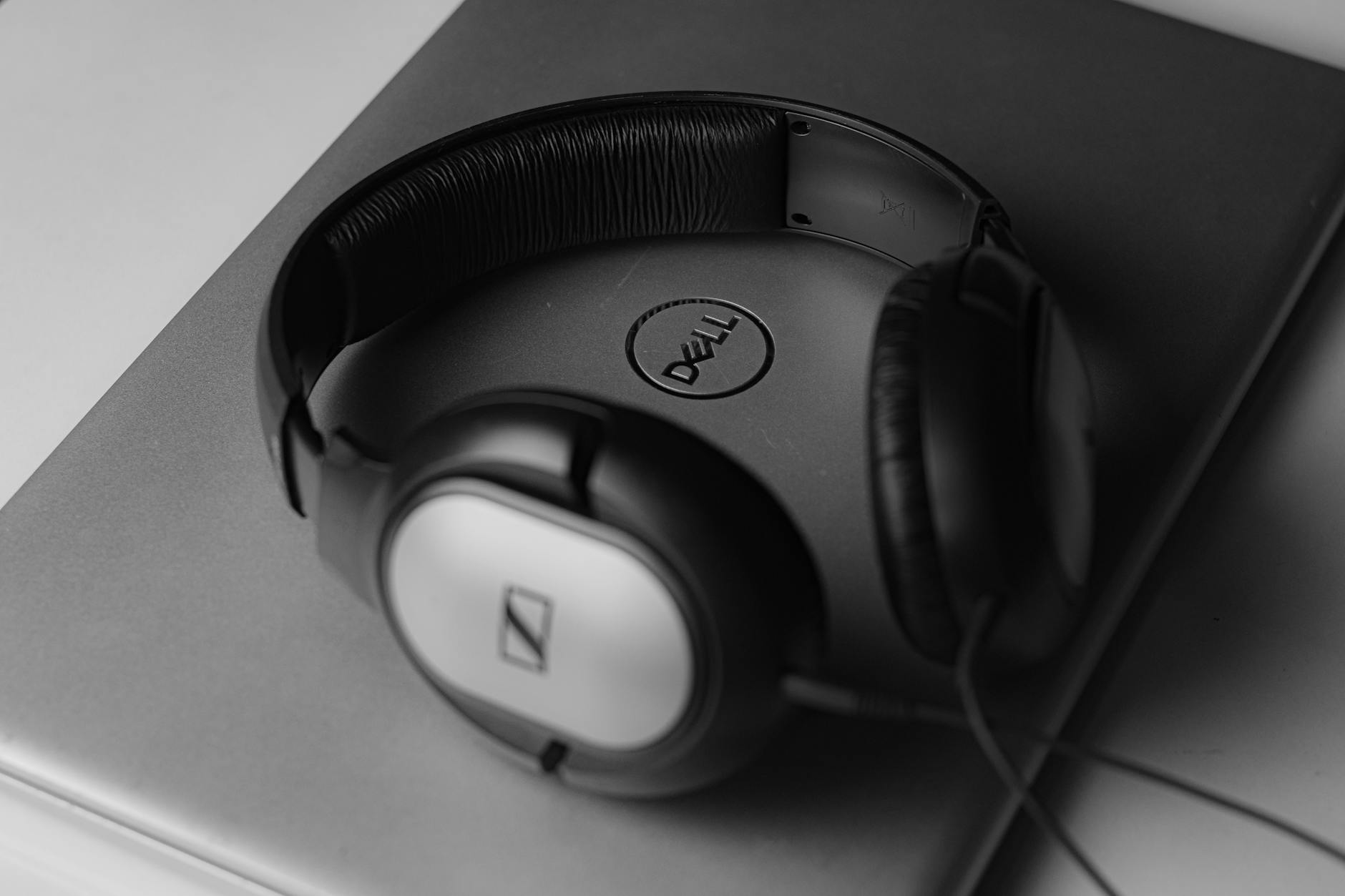 pexels-photo-16688486.jpeg