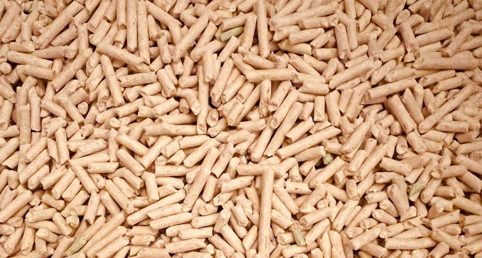 pile of pellets