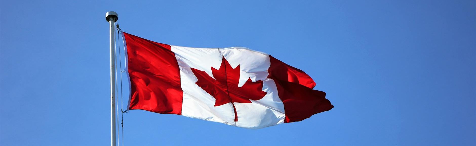 Canada's Tribunal Dismisses Public Interest Leave Application Against Google And Apple