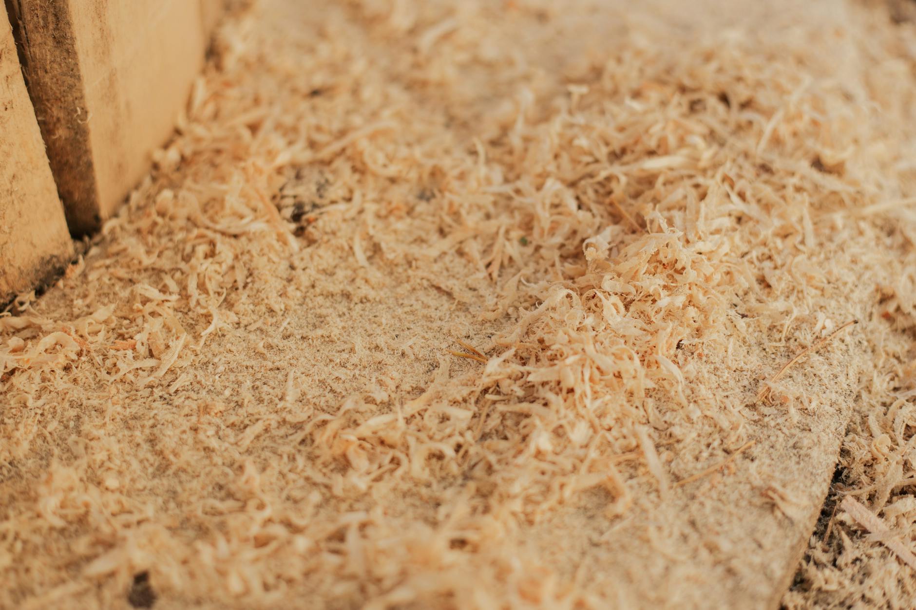 close up shot of sawdust