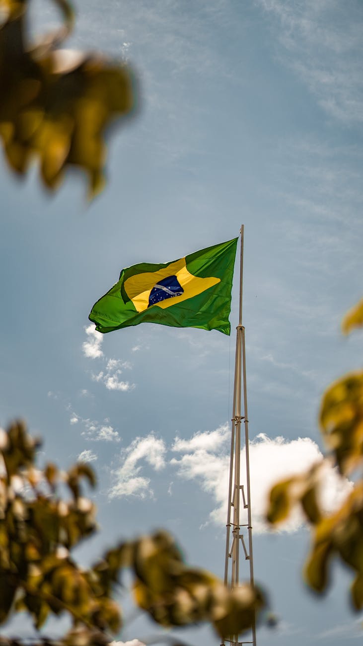 brazil flag on the flagpole